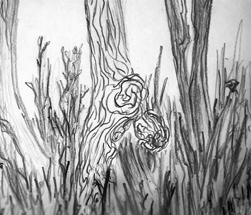 Afstudeerfilm: la ti woe  (fragment)