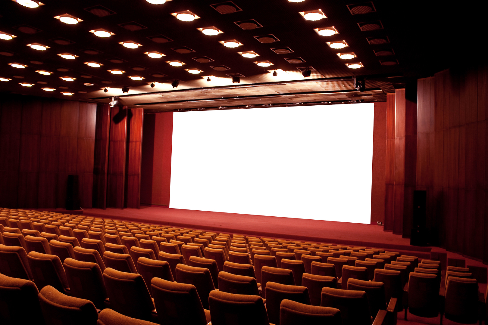 Filmtheaters en bioscopen digitaal