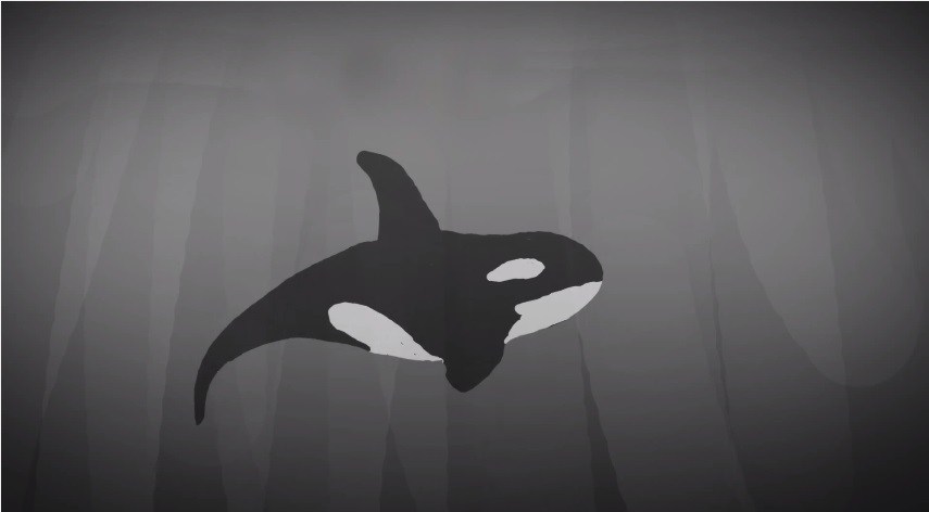 Haida: Skana, de mens en de orka