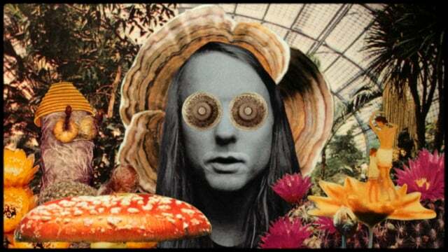 Must see: Andy Shauf - The Magician
