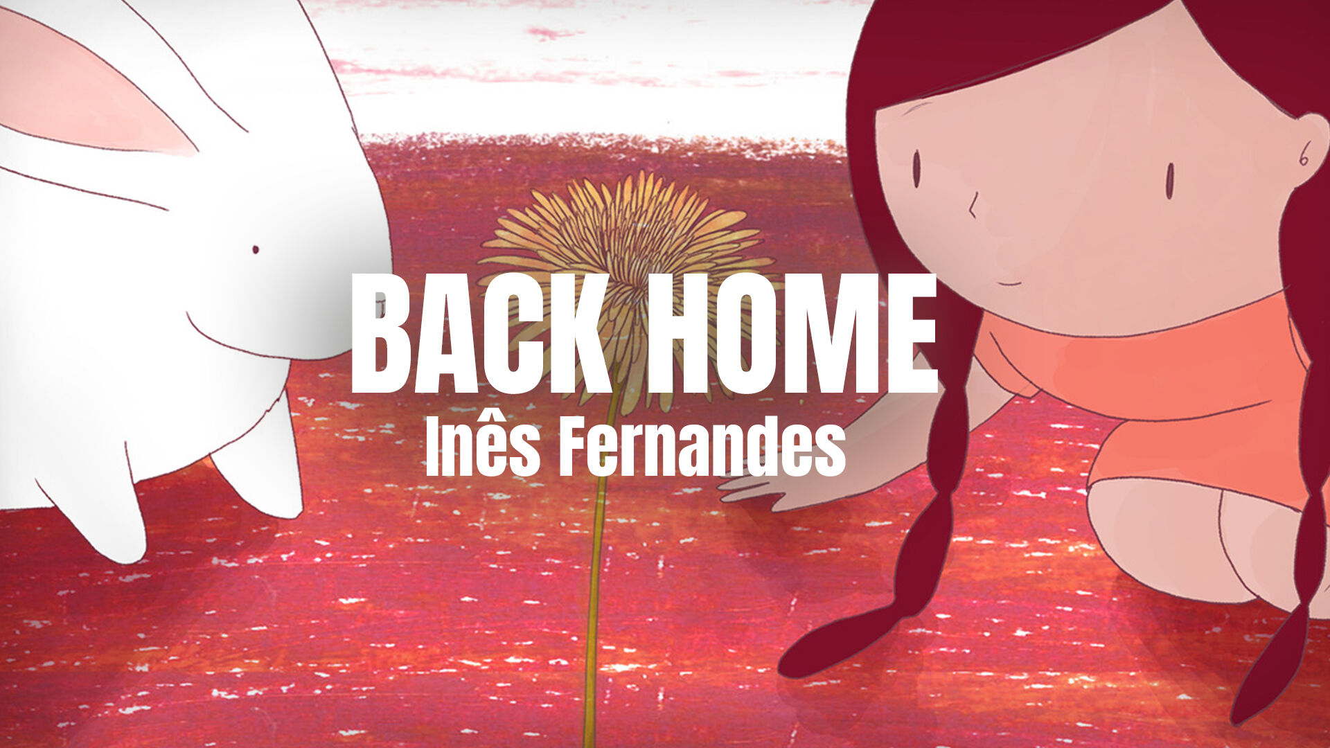 Must see: de schatkamer van KONKAV | Back Home