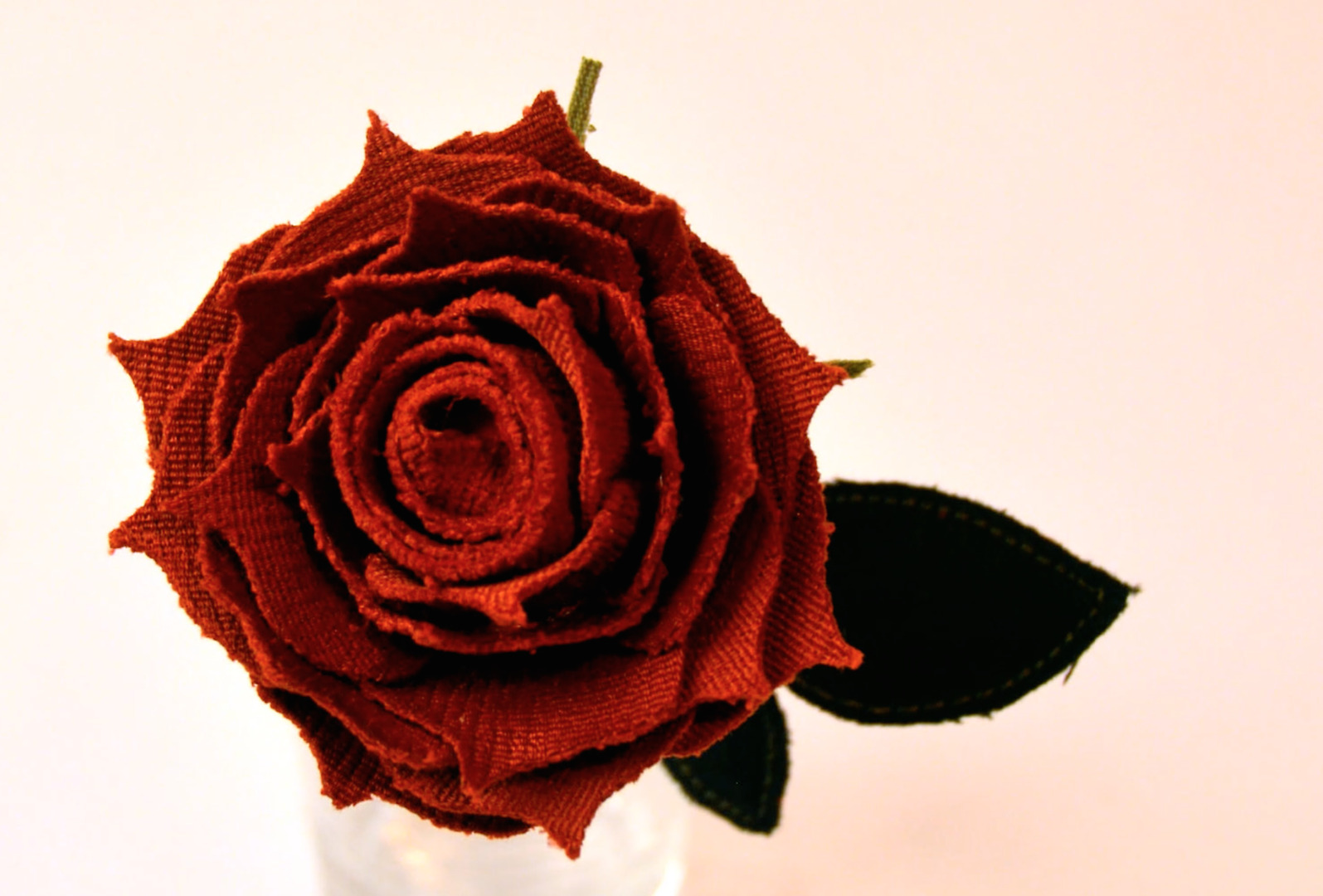 Nature - Flowering Rose