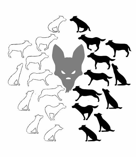 Nieuw Logo - Timberwolf