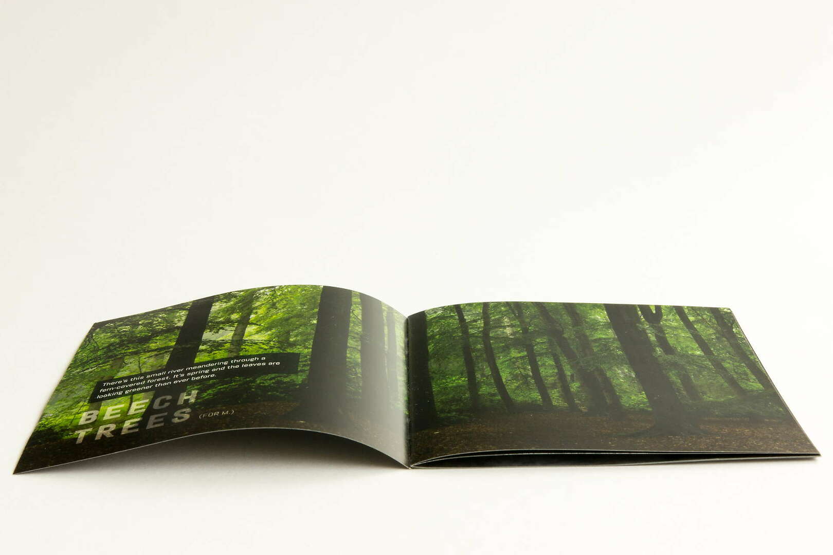 packshot Rain booklet