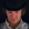 Robertfug