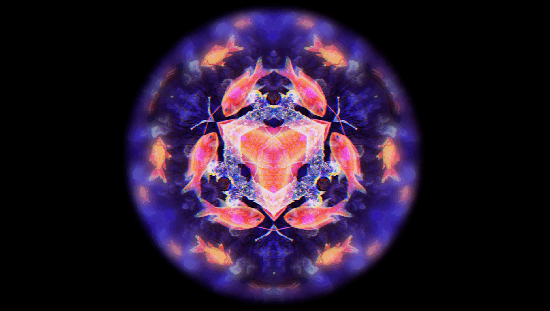 Screenshot 2019-07-22 at 15.16.56