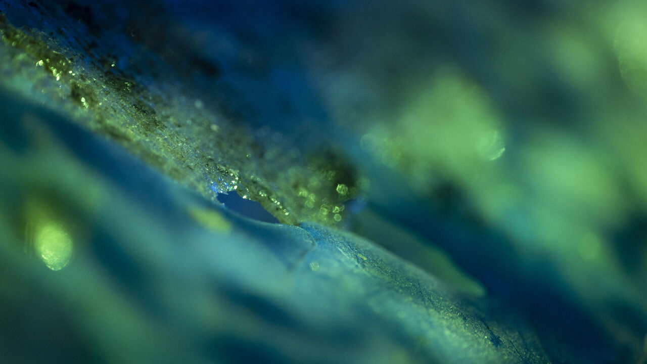 tumblr_342609b6559d114e4e04c69e1110883a_a005df91_1280