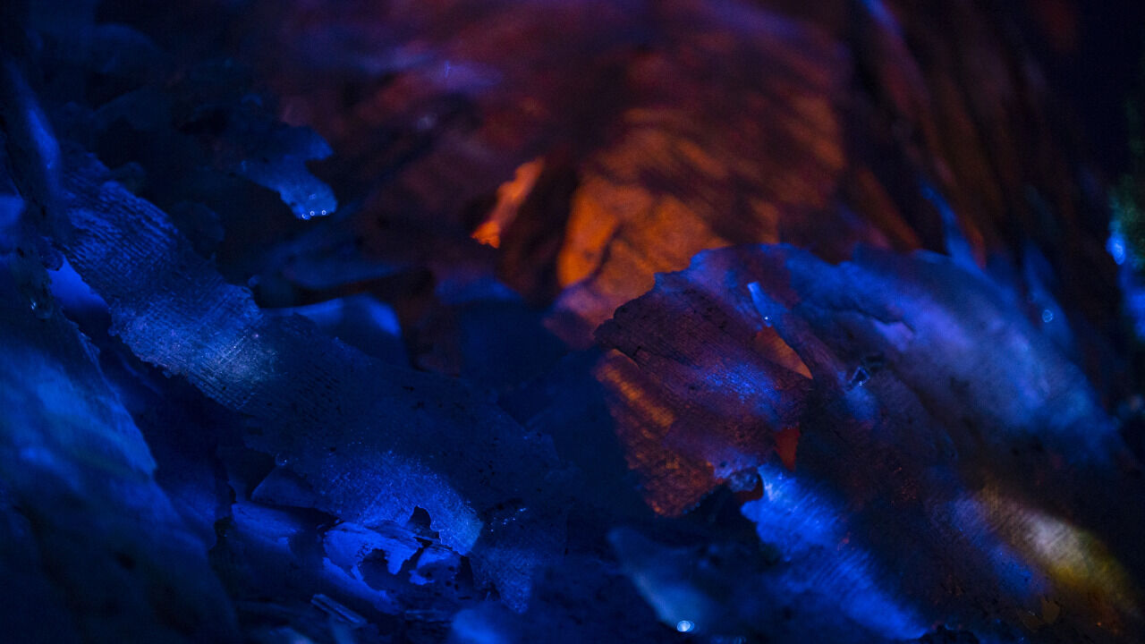 tumblr_8fec872abab68283dc535cb719860f01_ed10f313_1280