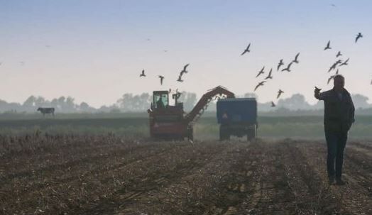 TV-serie | Kunst van het Boeren | Omroep Brabant